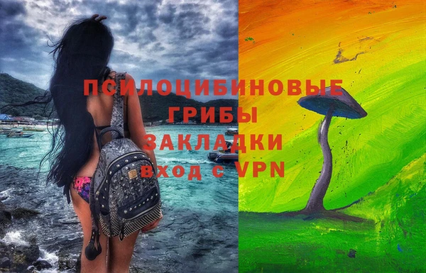 бошки Богданович