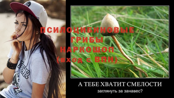 бошки Богданович